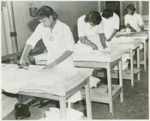 Schomburg Photographs and Prints subject collections: Occupations