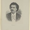 Wachtel