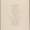 Violets