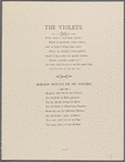 Violets
