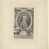 Count Stefano Zannouvich, Dalmatino