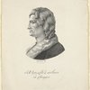 R. M. Gioseffo Zarlino da Chioggia