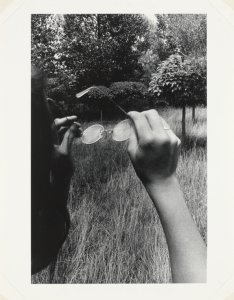 Photographs by Robert Gibson