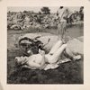 Nude sunbather, reclining