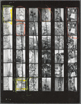 Christopher Street Liberation Day, 1970, contact sheet 6