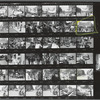 Christopher Street Liberation Day, 1970, contact sheet 8