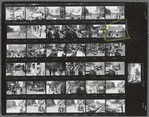 Christopher Street Liberation Day, 1970, contact sheet 8