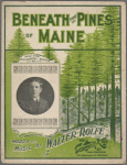 Beneath the pines of Maine