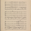 The cats quartette