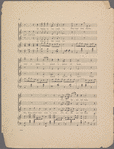 The cats quartette