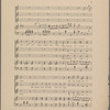 The cats quartette