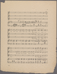 The cats quartette