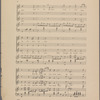 The cats quartette