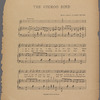 The cuckoo bird