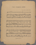 The cuckoo bird