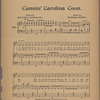 Cunnin' Carolina coon