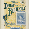 The daisy and the butterfly