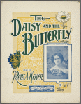 The daisy and the butterfly