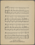 The daisy and the butterfly