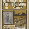 Down where the cotton blossoms grow
