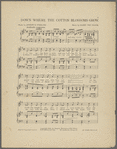 Down where the cotton blossoms grow