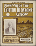 Down where the cotton blossoms grow