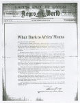 What 'Back to Africa' Means