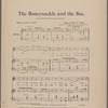The honeysuckle and the bee