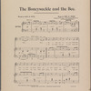 The honeysuckle and the bee