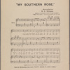My Southern rose