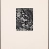 Vine and Rock, Island of Hawaii, T. H.