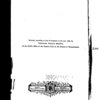 The Negro in the American rebellion
