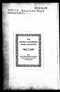American Negro monographs historical and educational papers