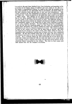 The status of American Negro citizenship