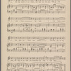My wild Irish rose