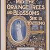 Mid the orange trees and blossoms she is waiting