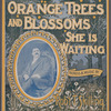 Mid the orange trees and blossoms she is waiting