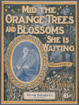 Mid the orange trees and blossoms she is waiting