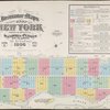 Insurance maps of the City of New York. Surveyed and published by Sanborn-Perris Map Co., Limited, 115 Broadway, 1896. Volume 8.