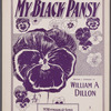 My black pansy