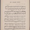 My black pansy