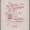 My rose of yesterday