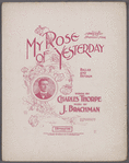 My rose of yesterday