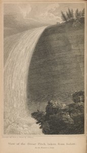 The Port folio