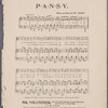 Pansy