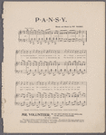 Pansy