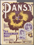 Pansy