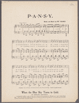 Pansy