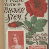 A rose with a broken stem