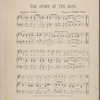 The story of the rose